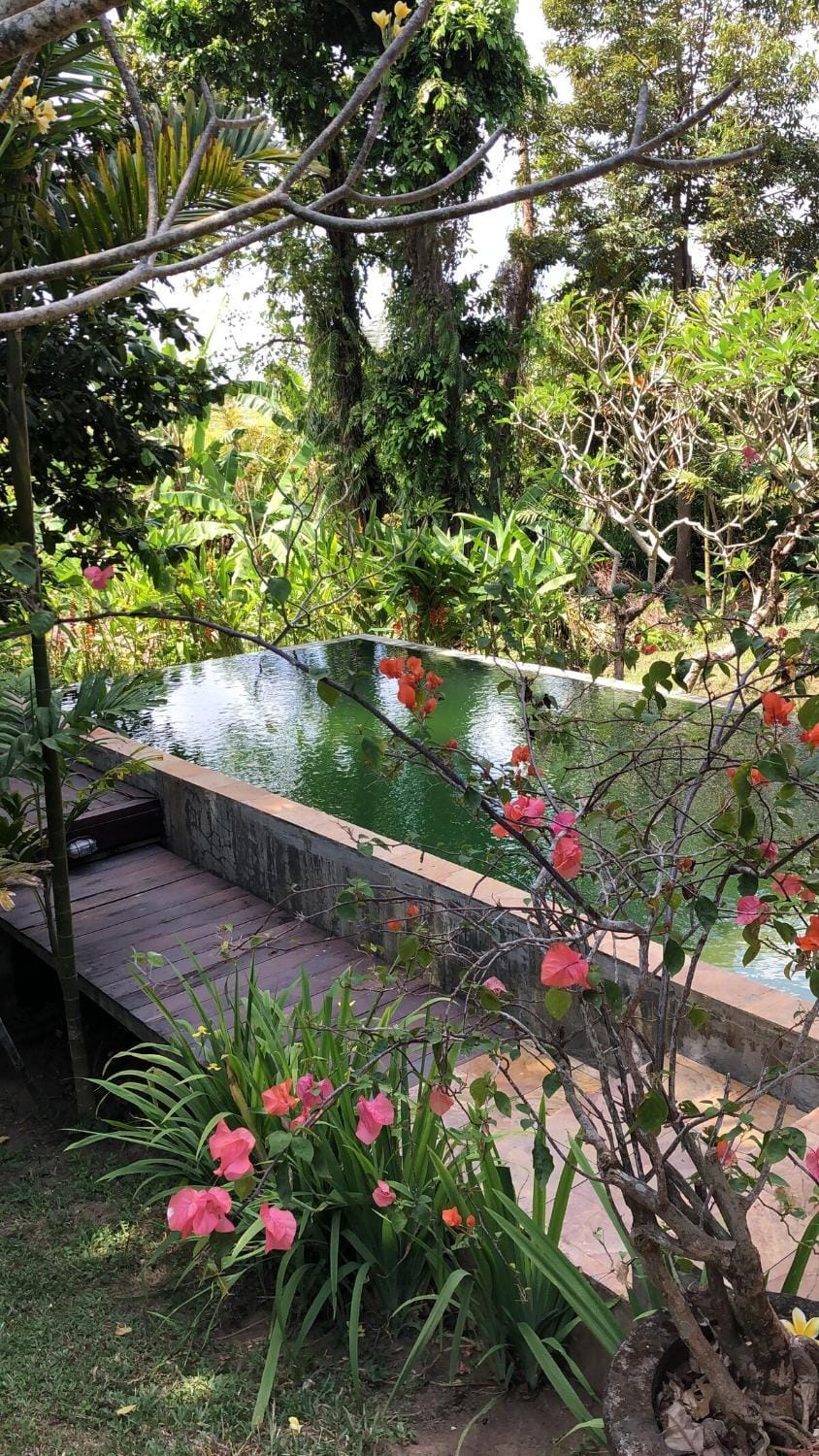 Villa Kecil Seseh beach 2 bedroom villa with pool Villa in Mengwi