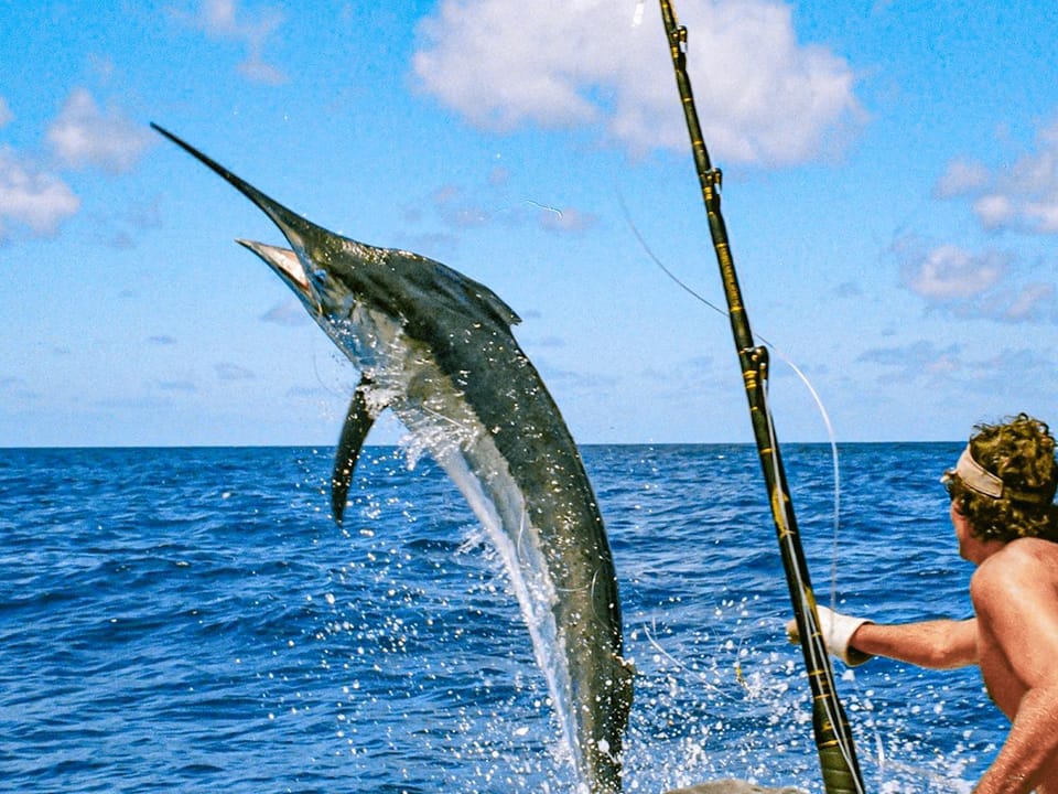 Fishing