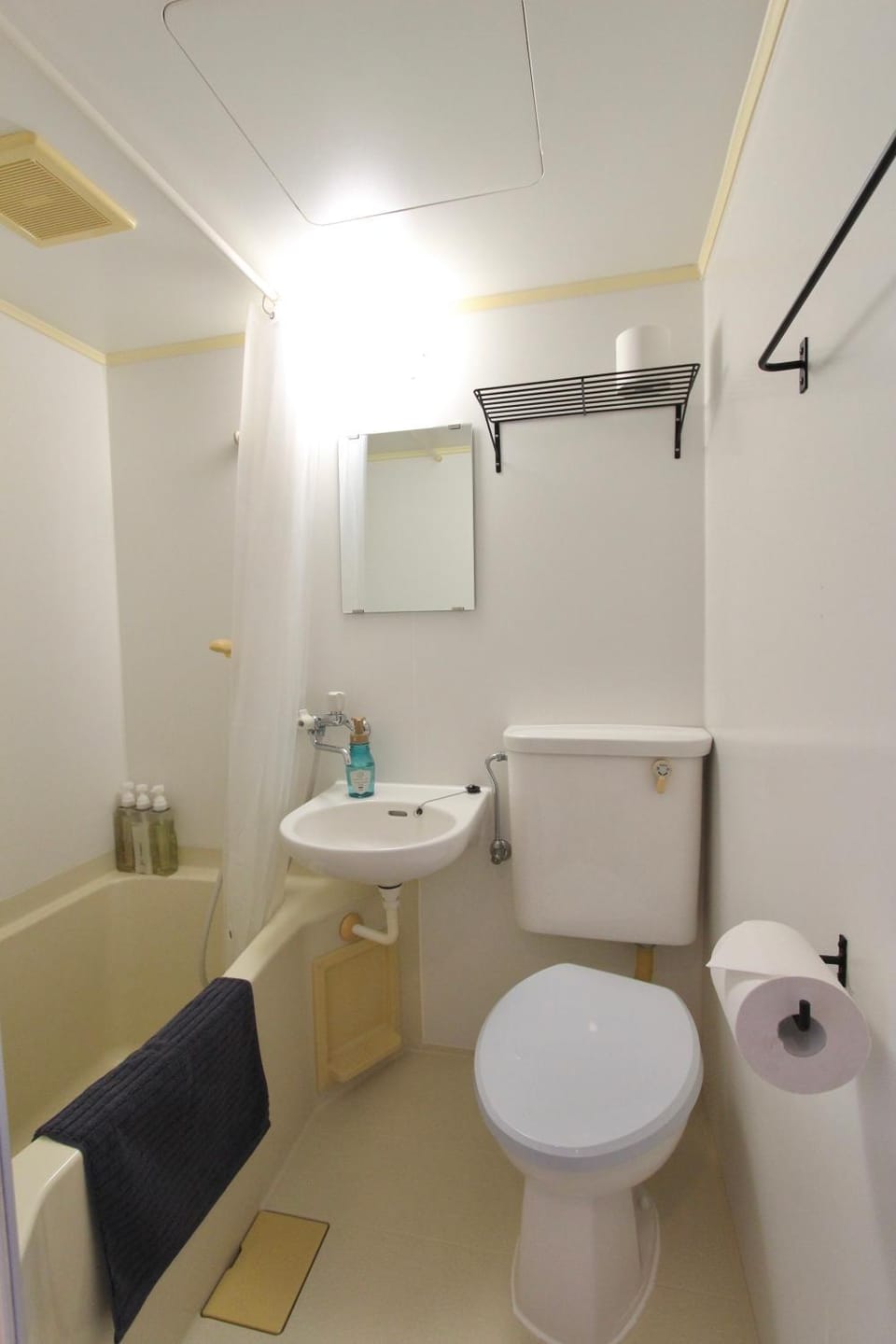 Toilet, Bathroom