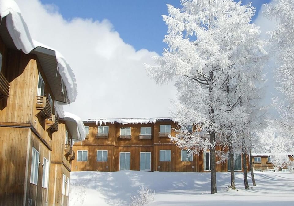 Property building, Winter, Garden