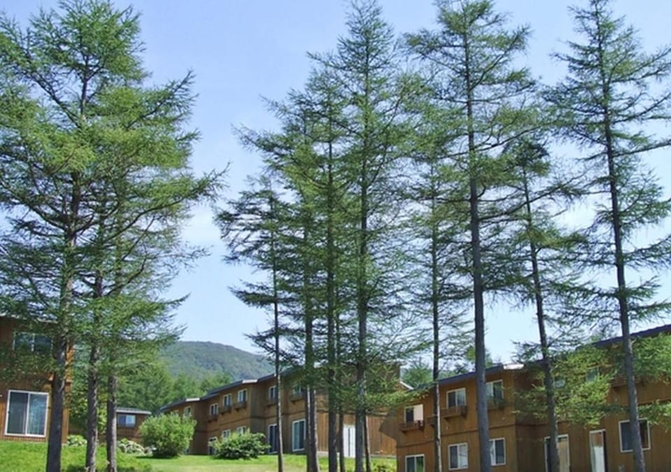 Property building, Off site, Natural landscape, Area and facilities