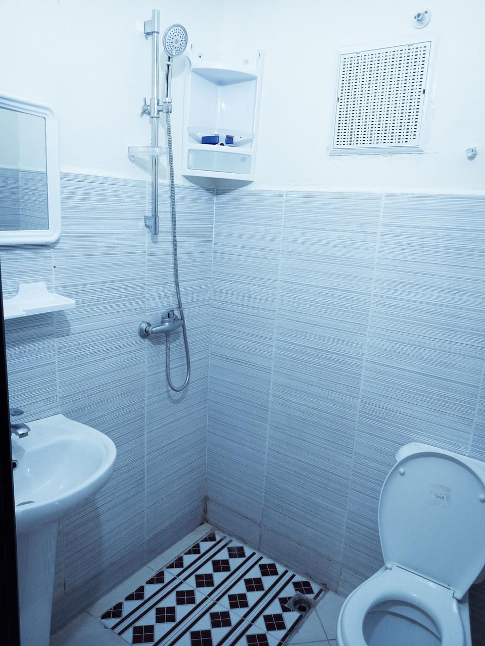 Shower, Toilet, Bathroom