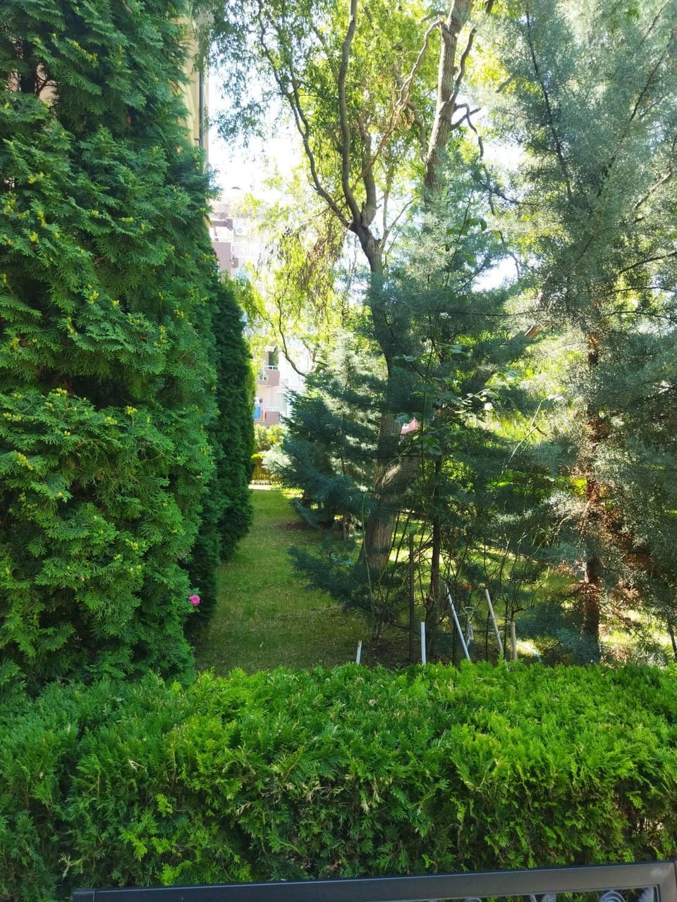 Garden, Breakfast