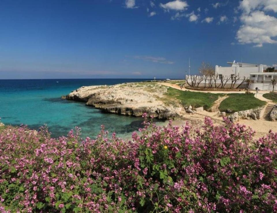 Natural landscape