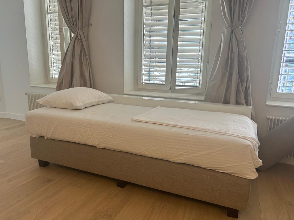 Central Charm Apartment, Geneva City Center Apartment in Geneva