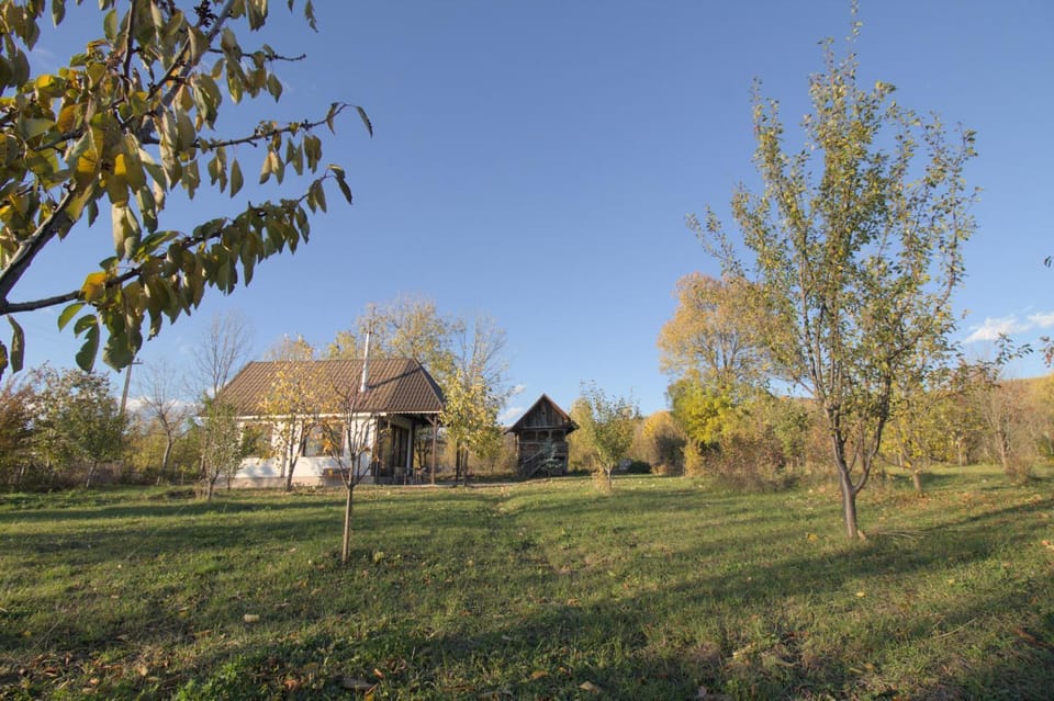 Property building, Natural landscape, Garden, Autumn