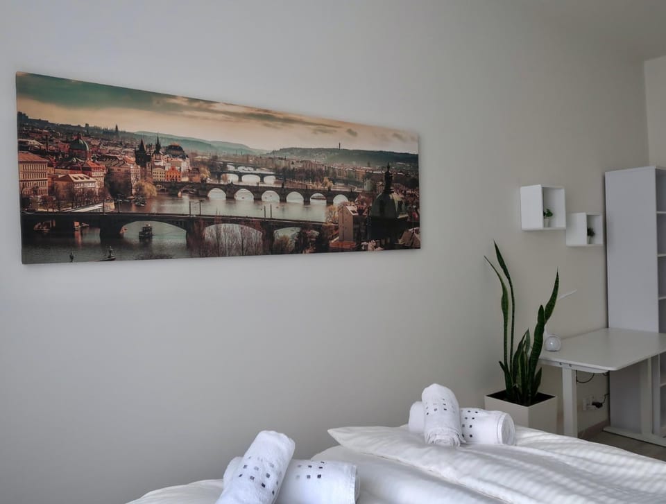 PRAGUE's Hidden Pearl - center Apartment in Prague