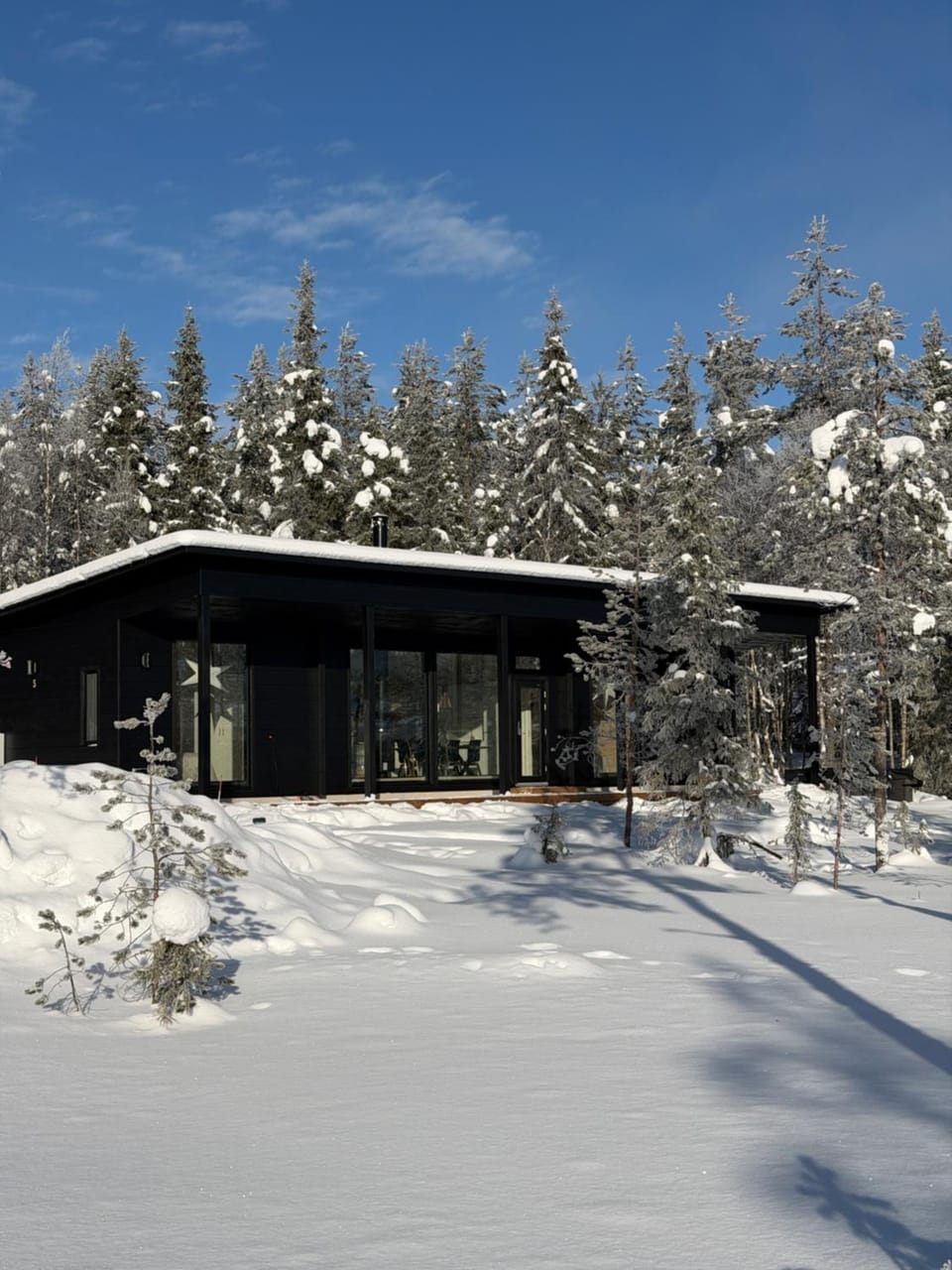 Modern VillaJoenhelmi with jacuzzi and sauna Villa in Lapland