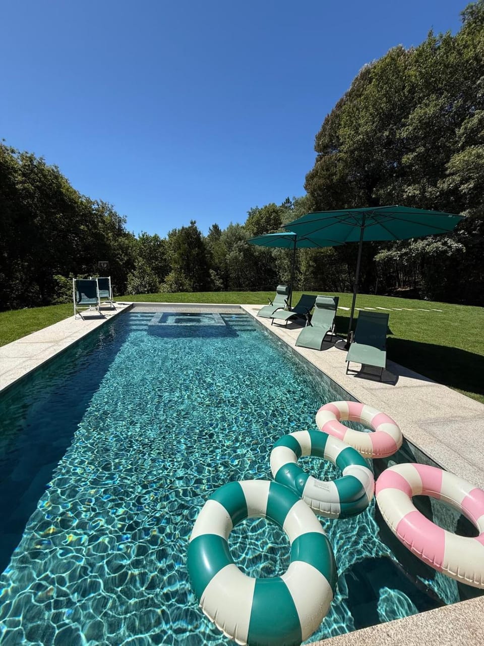 Garden, Garden view, Pool view, Swimming pool, sunbed