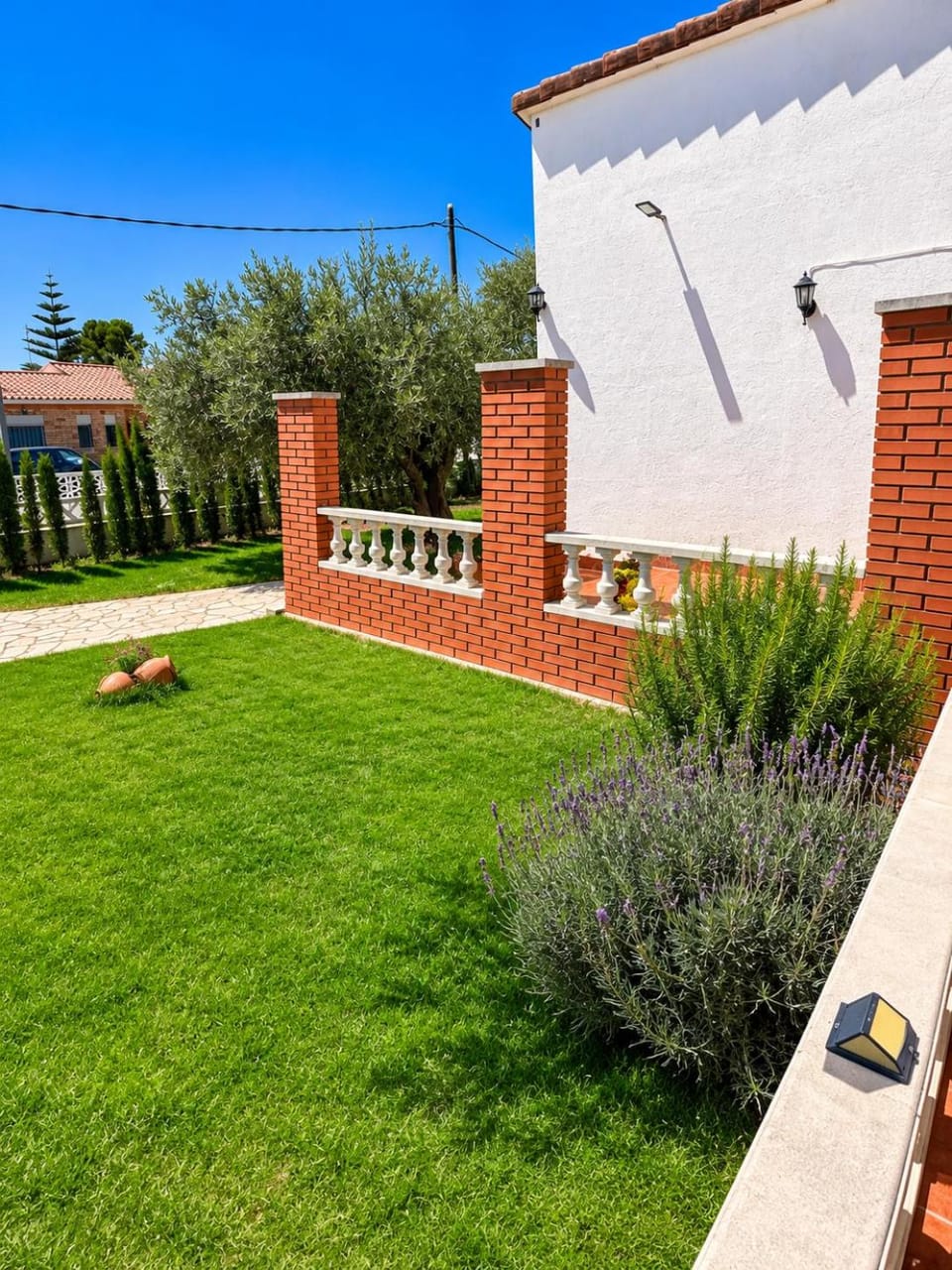 Garden view