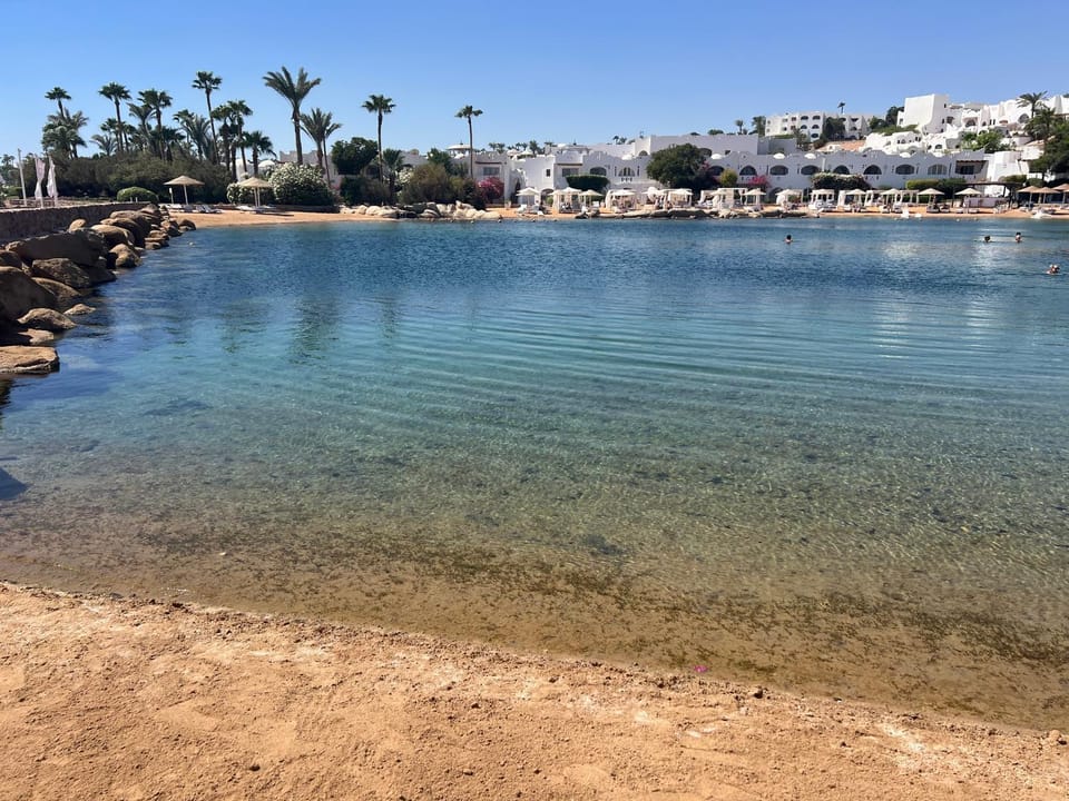 Lake view