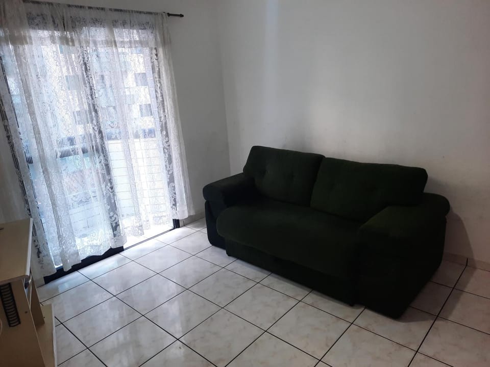 Suzana massot canto do forte Apartment in State of São Paulo