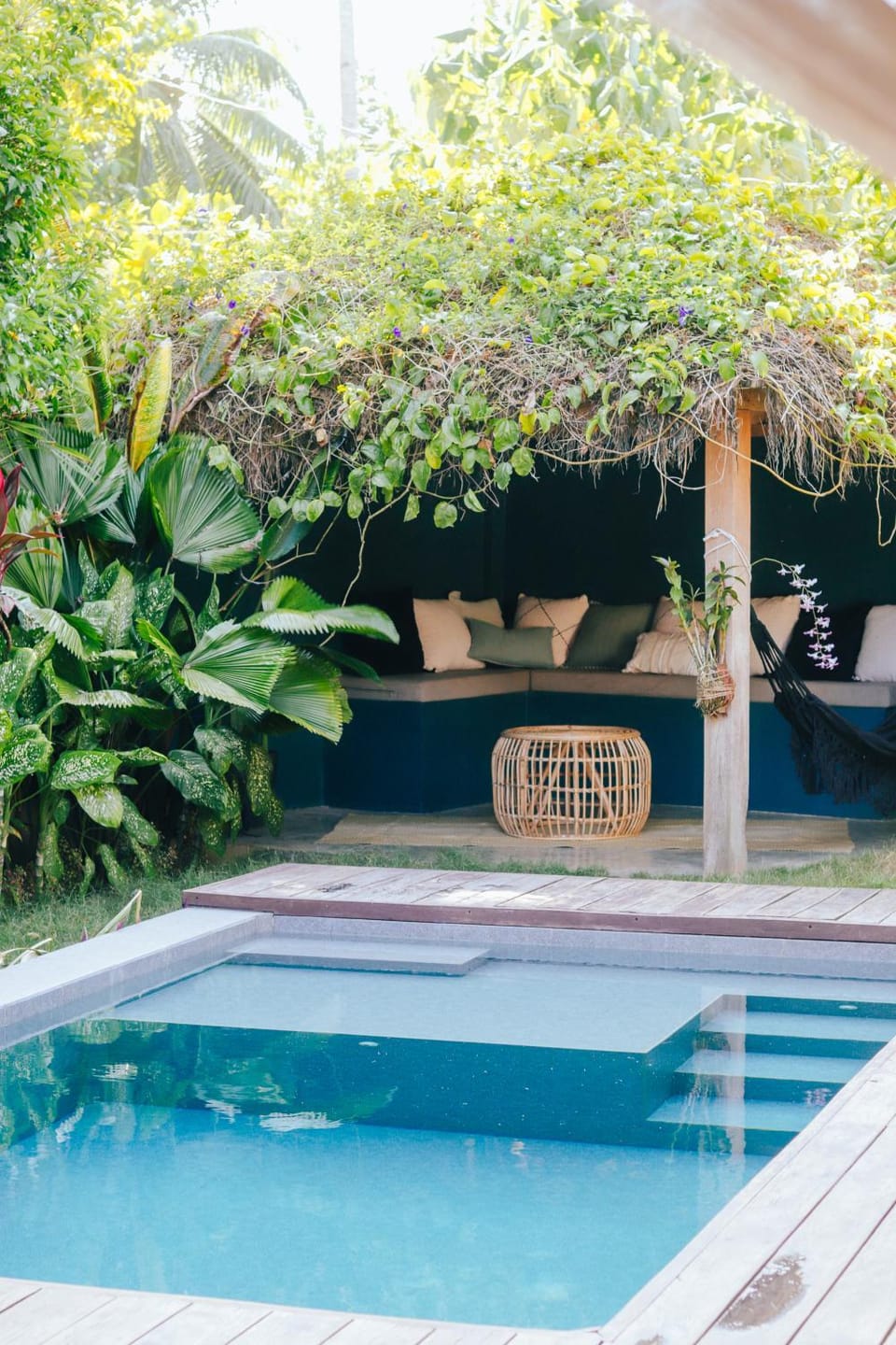 Garden, Swimming pool