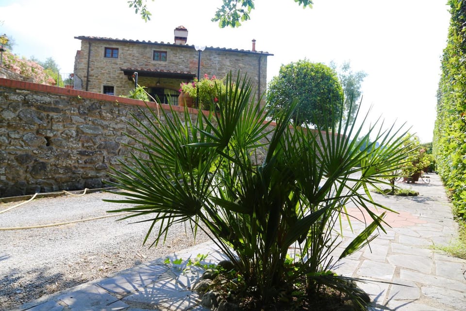Property building, Garden