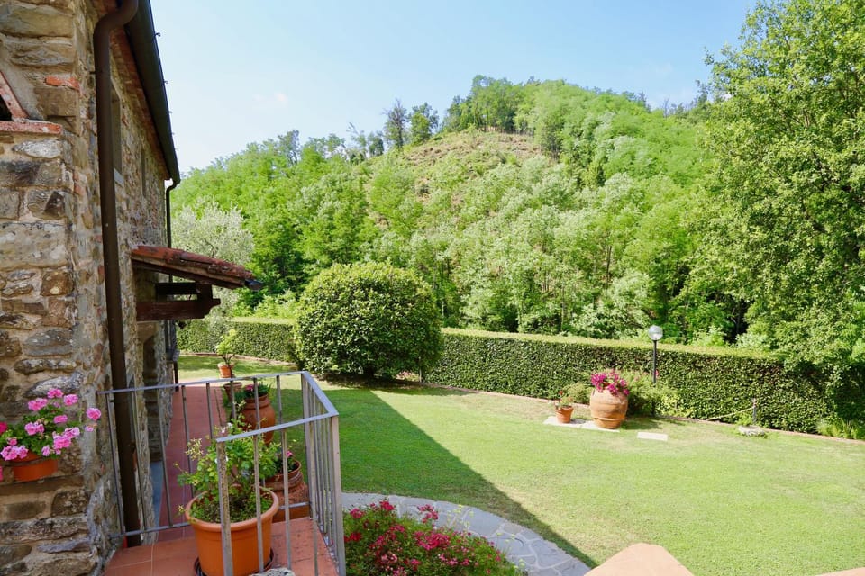 Garden view