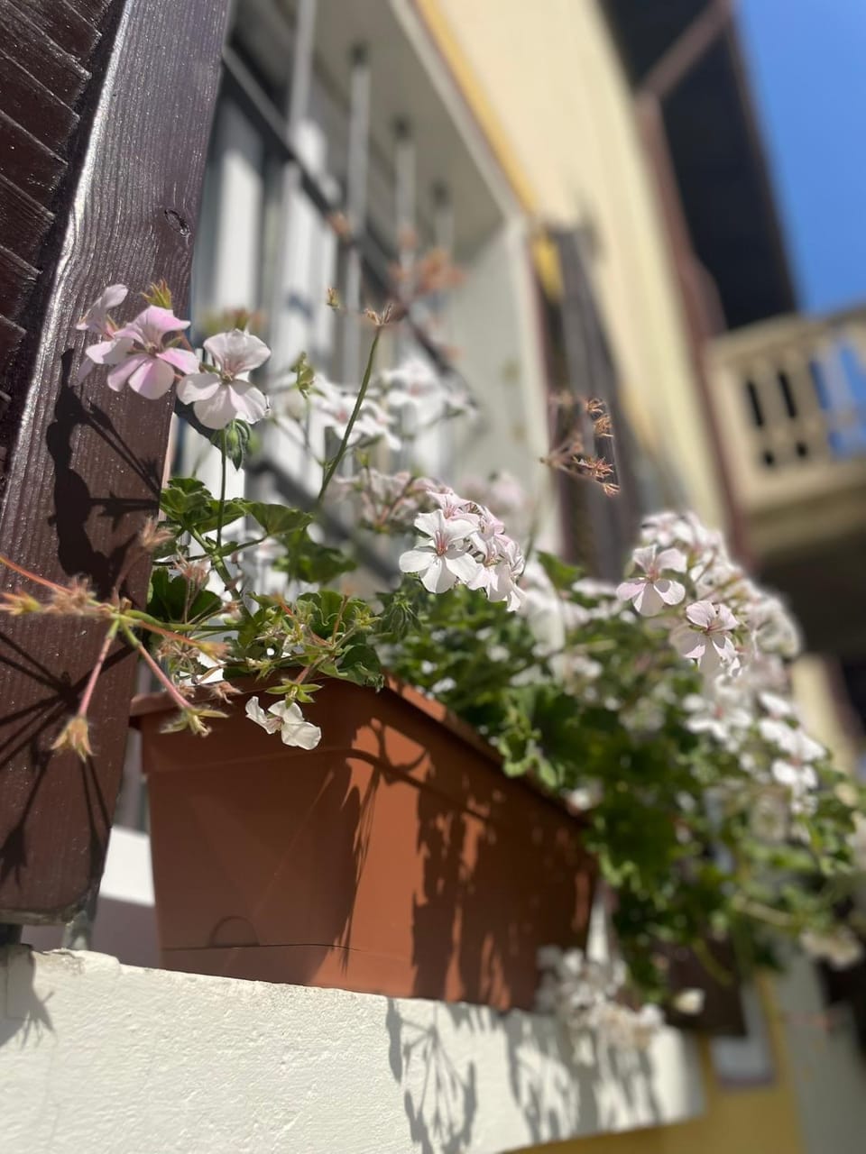 La Casa di Paola Bed and Breakfast in Province of Lecco