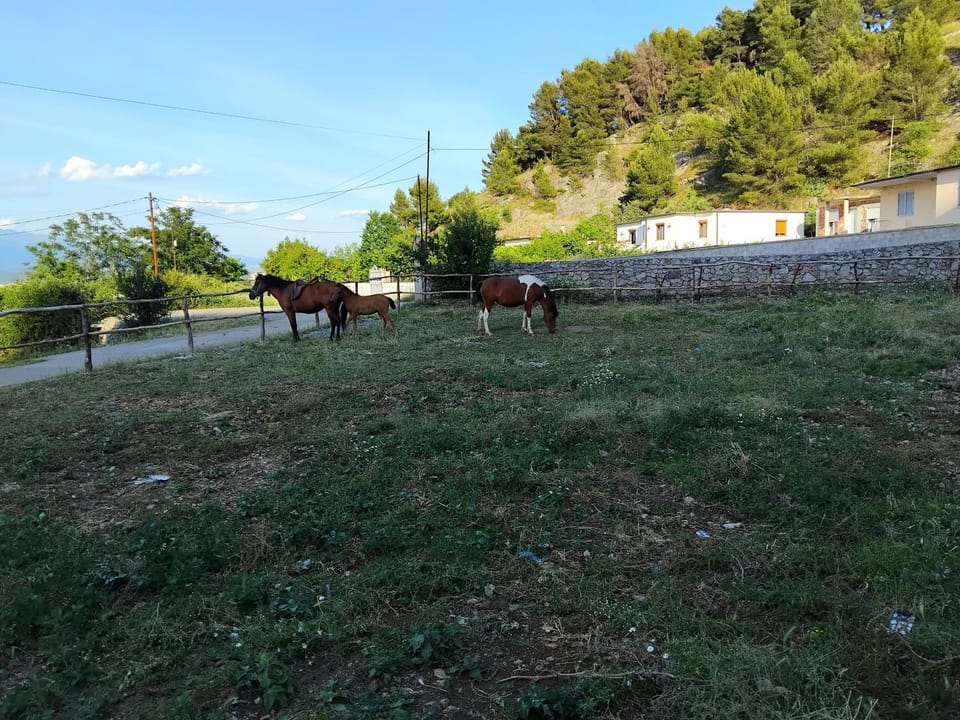 Glamping Kulmi Luxury tent in Montenegro