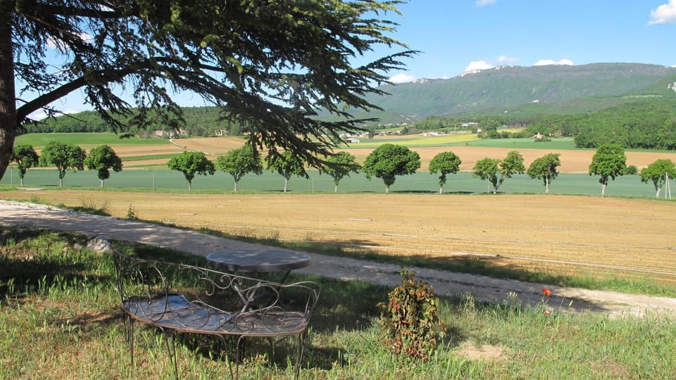 Mountain view