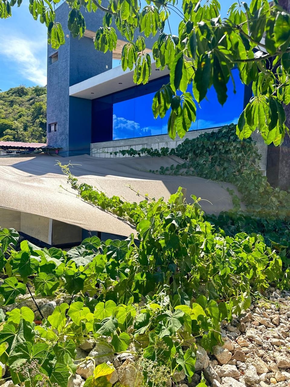 Apartment & studio with city views Apartment in State of Chiapas