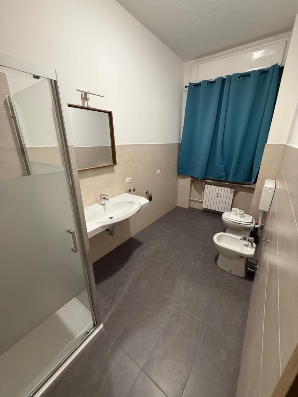Shower, Toilet, Bathroom, bidet