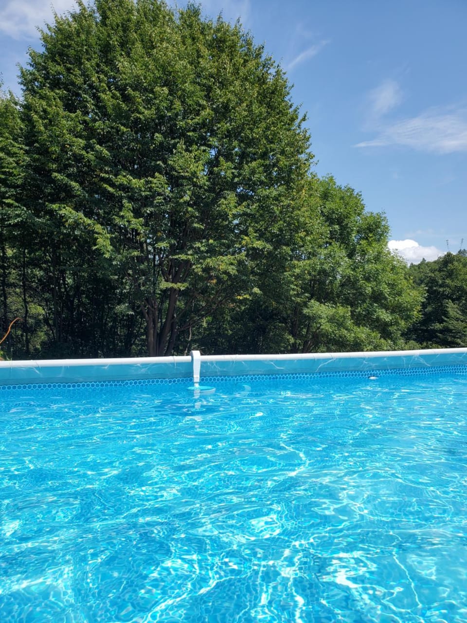 View (from property/room), Pool view, Swimming pool