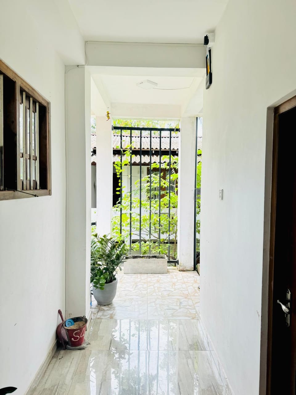 Garden view