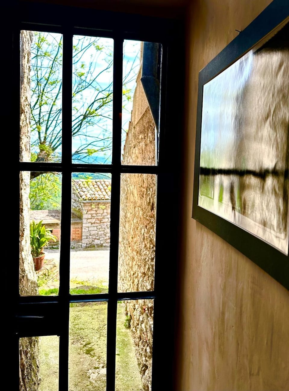 Garden view