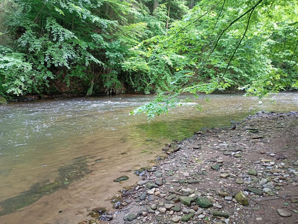 Tábořiště Suchovršice Campground/ 
RV Resort in Czechia