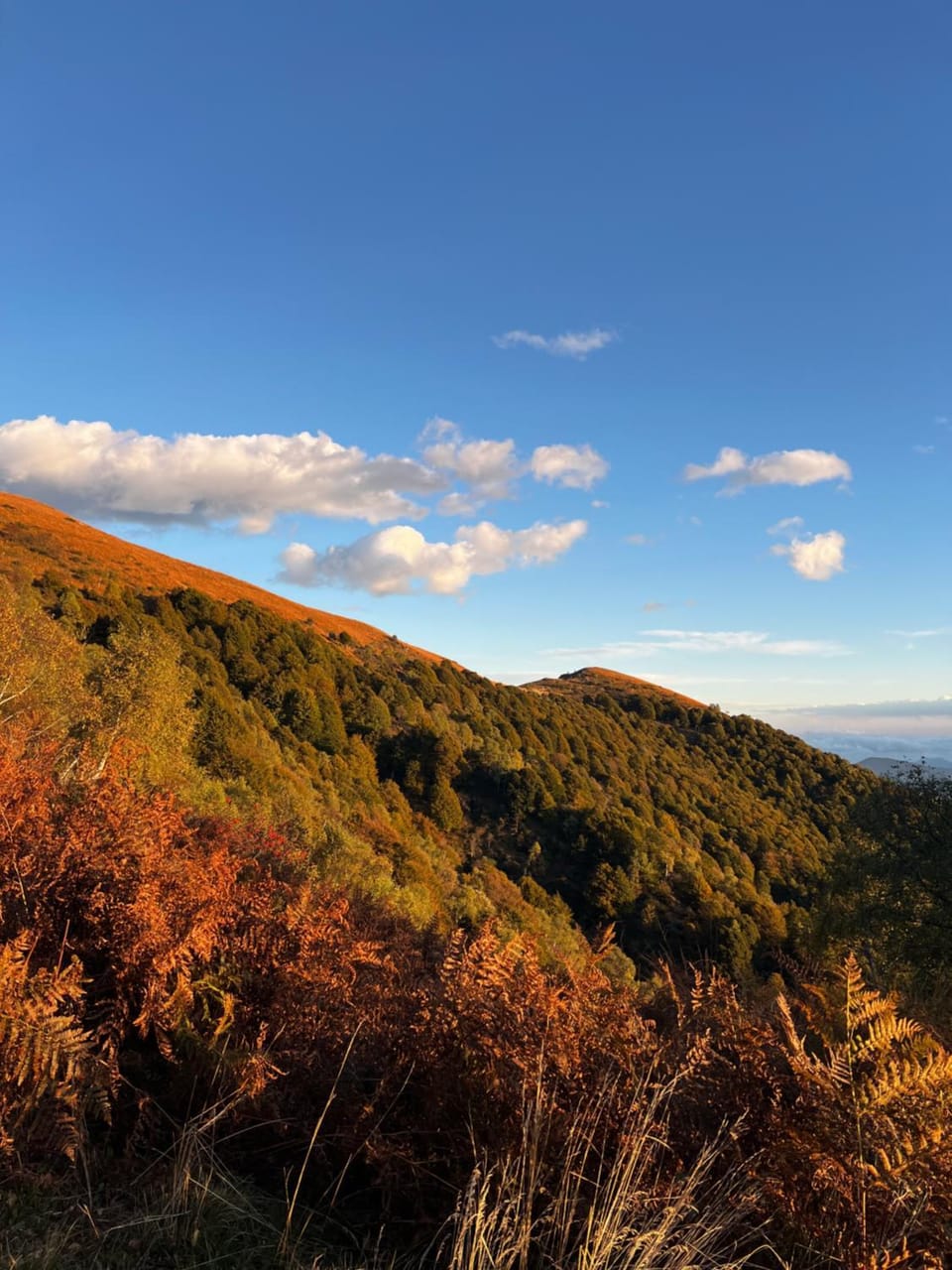 Autumn, Mountain view