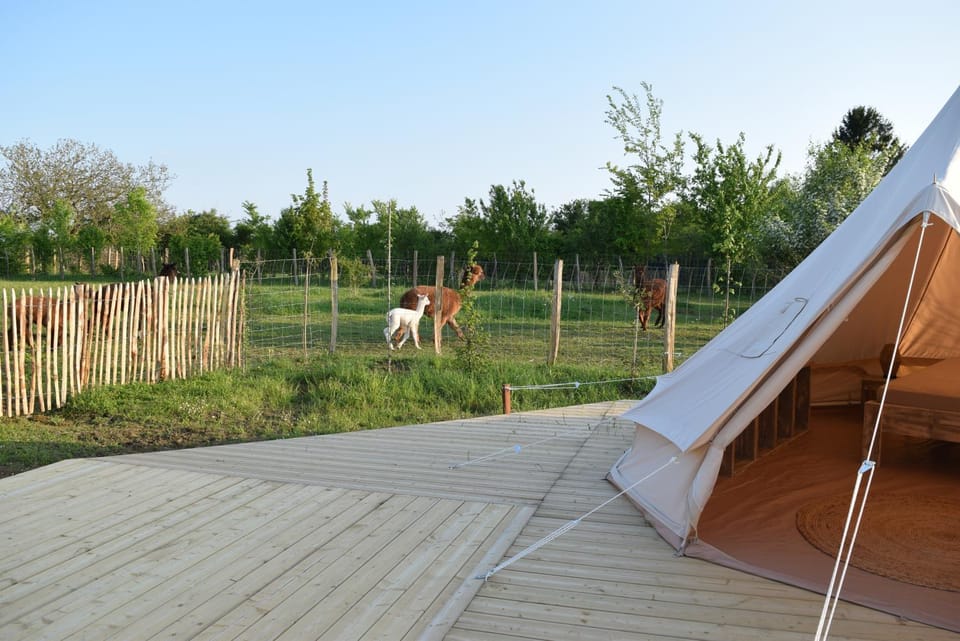 Tente Lima Luxury tent in Gennes-Val-de-Loire
