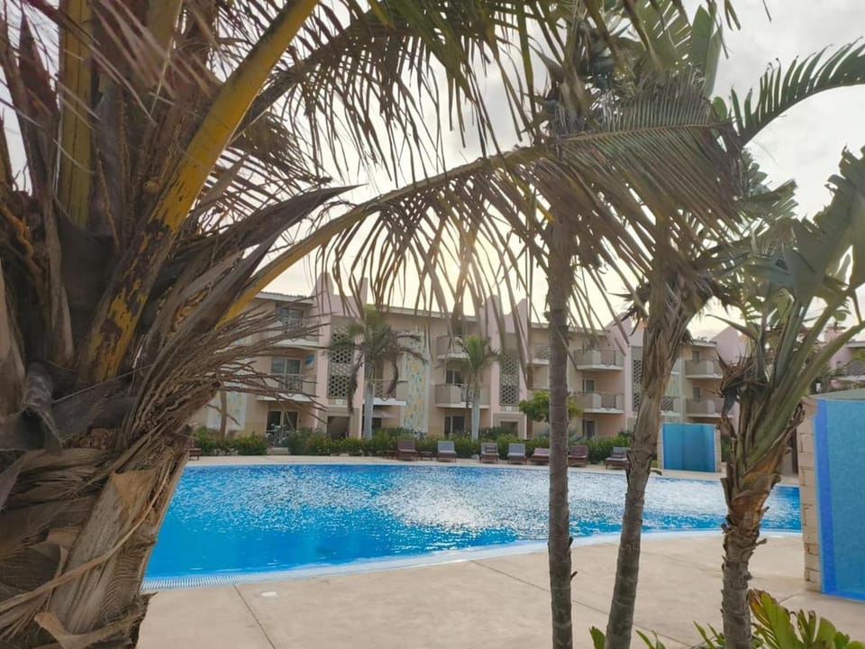 Property building, Day, Garden, Garden view, Pool view, Swimming pool, sunbed