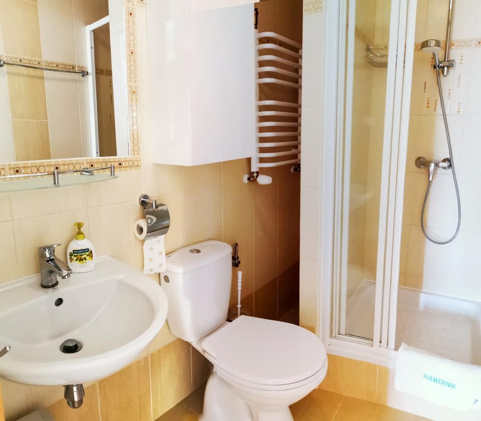 Shower, Toilet, Bathroom