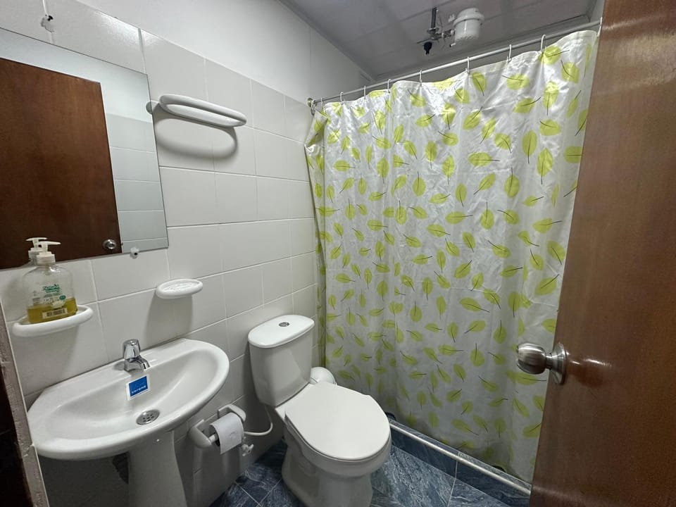 Shower, Bathroom, bidet