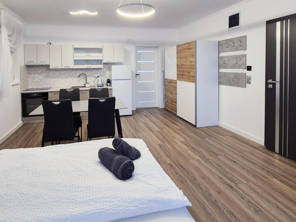 Casa da Vinci Apartment in Hungary