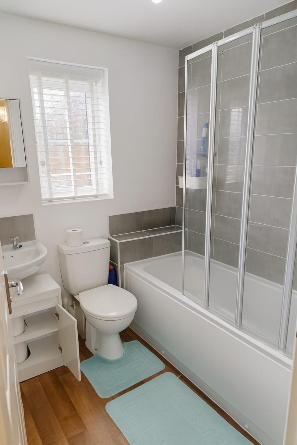 Shower, Toilet, Bathroom, Bath