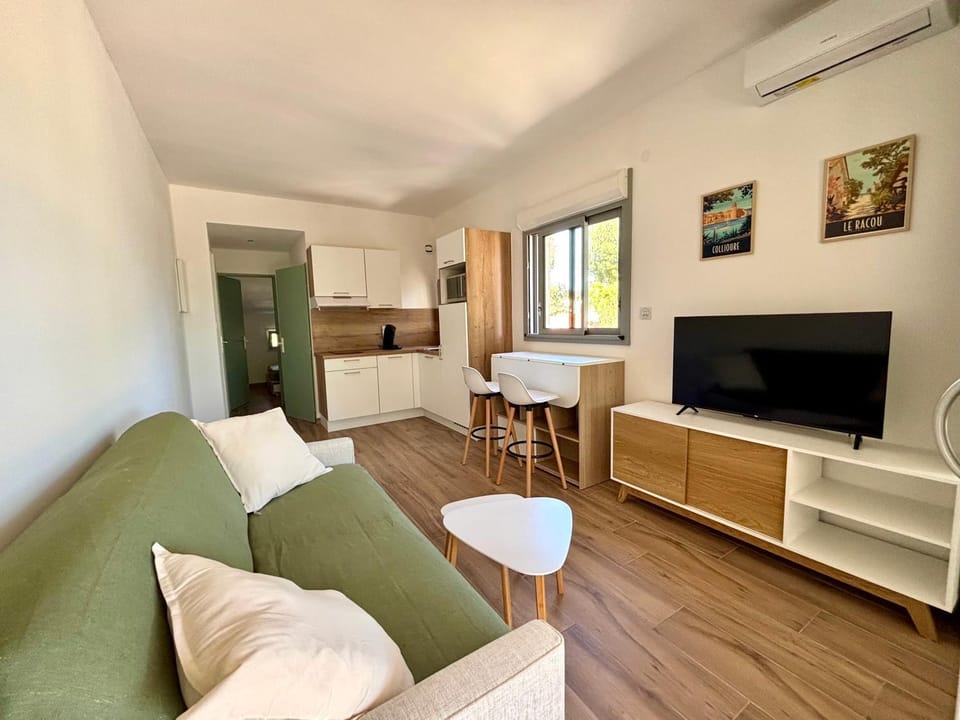 Face à la mer, T2 vue incroyable Apartment in Argeles-sur-Mer