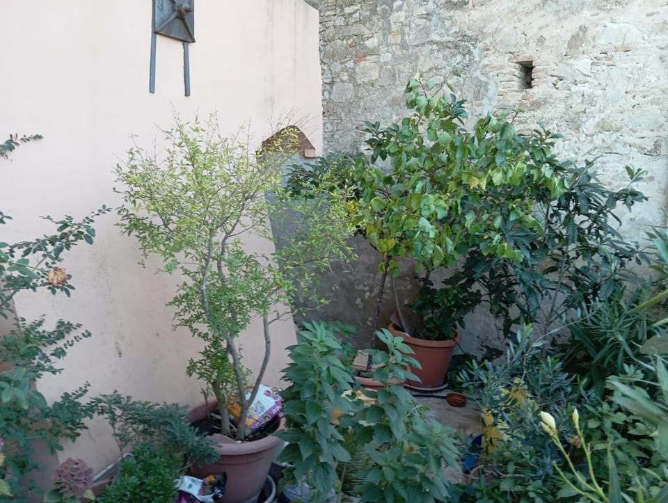 Casa Bizzarro House in Province of Foggia