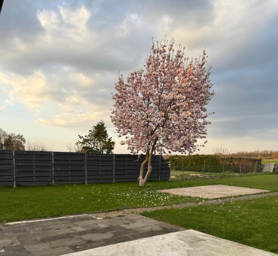 Garden, Garden view