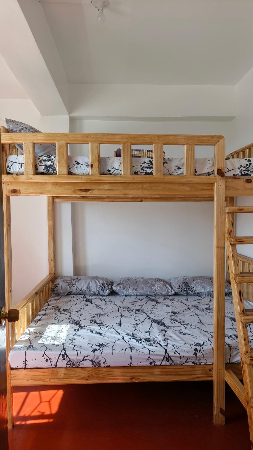 Bed, Photo of the whole room, Bedroom, bunk bed