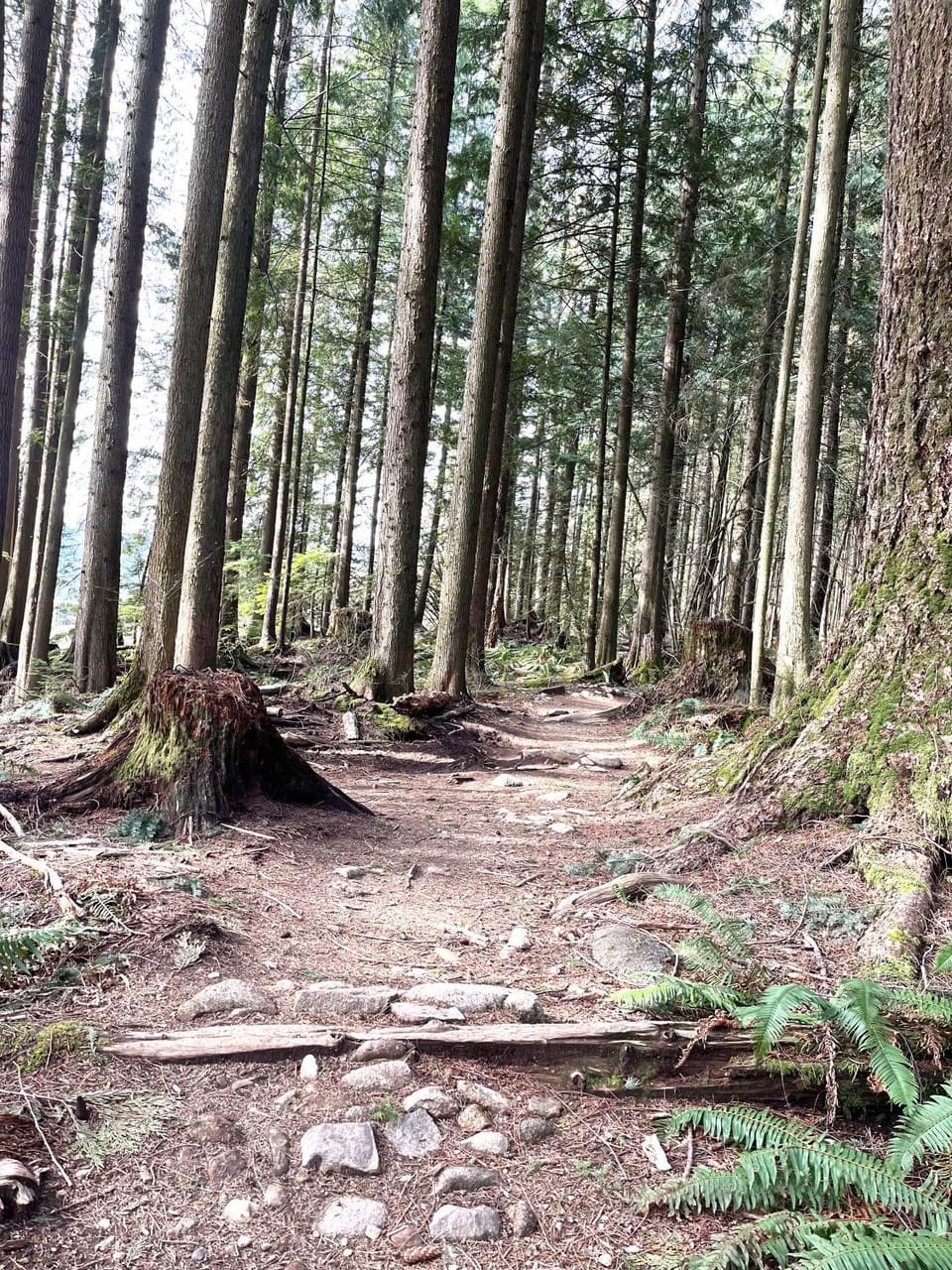 Natural landscape, Hiking