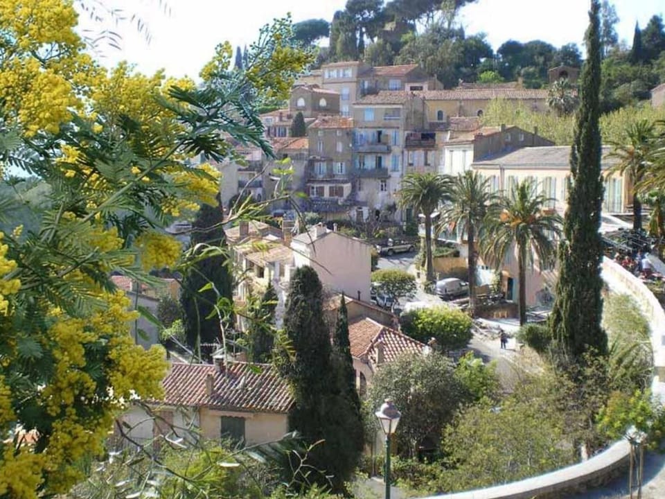 Mobil-home 35m² avec terrasse pour 8 personnes, accès handicapé - API-1-52-384 Campground/ 
RV Resort in Bormes-les-Mimosas