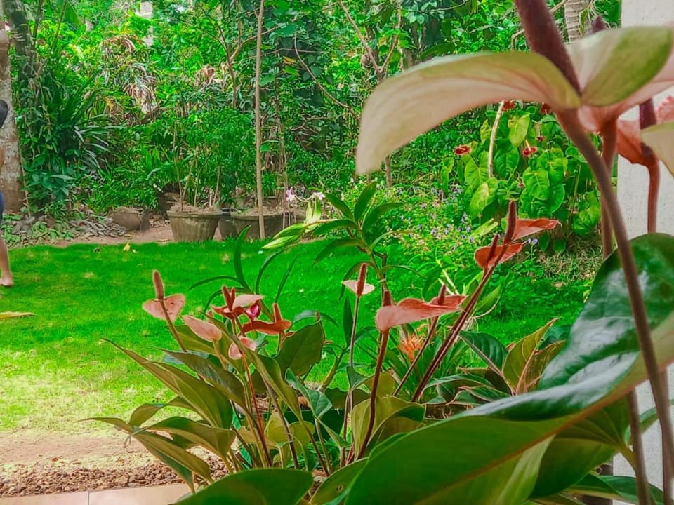 Abhi Villa Villa in Western Province