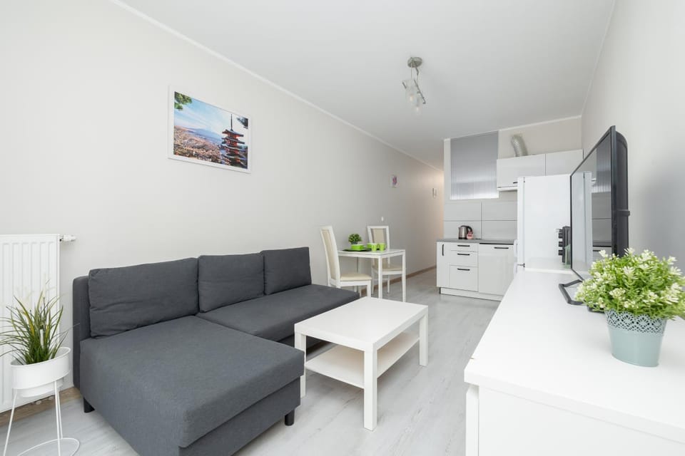 Przytulny apartament 28 w centrum Szczecina Apartment in Szczecin
