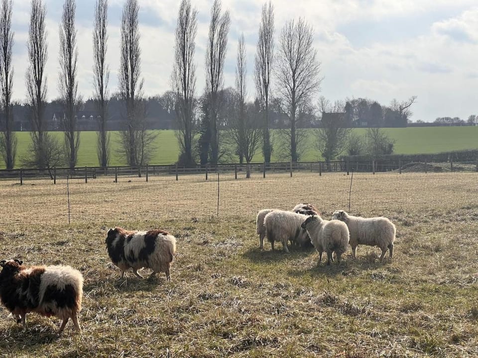 Lucas farm barn House in Uttlesford