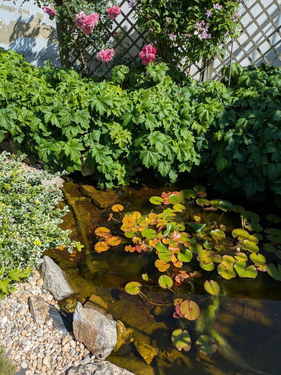 Garden, Garden