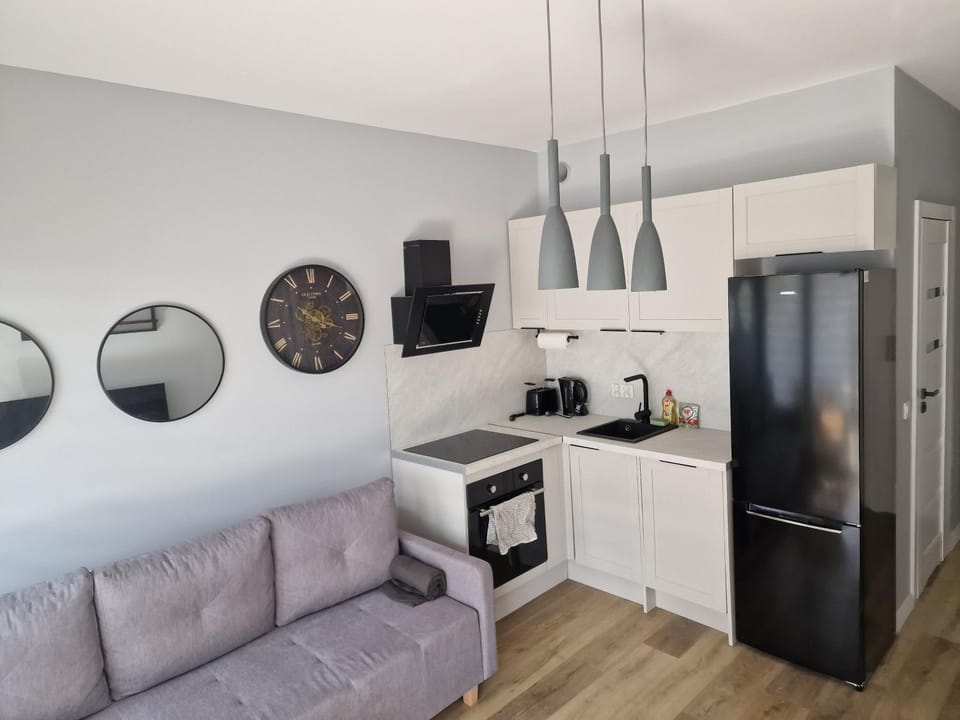 Apartament dworska Brzeźno Apartment in Gdansk