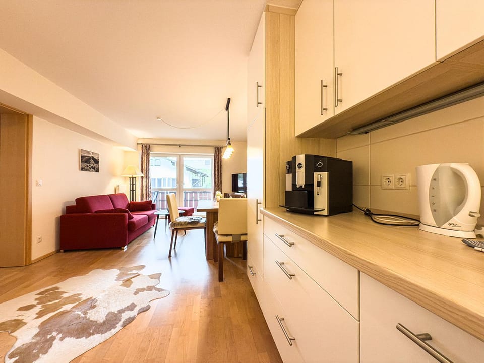 Alm Loge Apartment in Oberstaufen