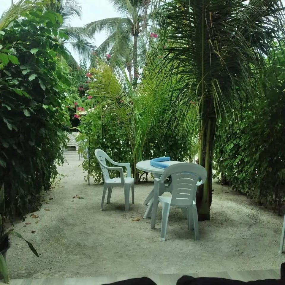 Jenyva Inn Bed and Breakfast in Maldives