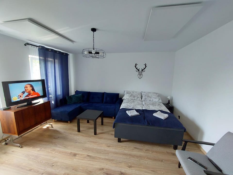 MK Ceglany Domek Apartment in Czechia