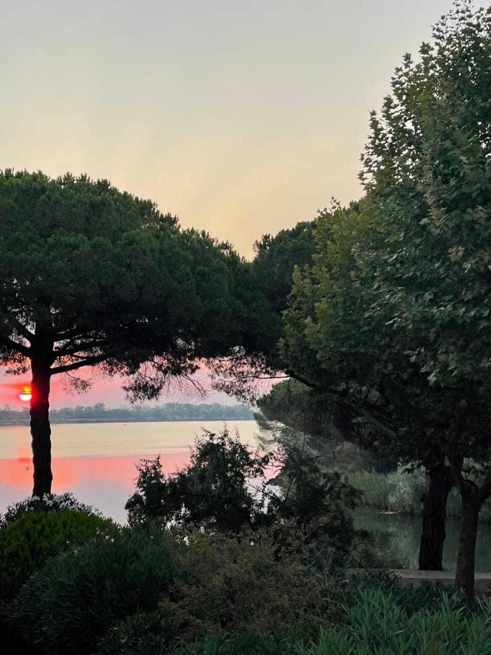 Lake view, Sunrise
